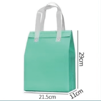 Custom Print Insulated aluminum foil non-woven bag 21.5*11*29CM