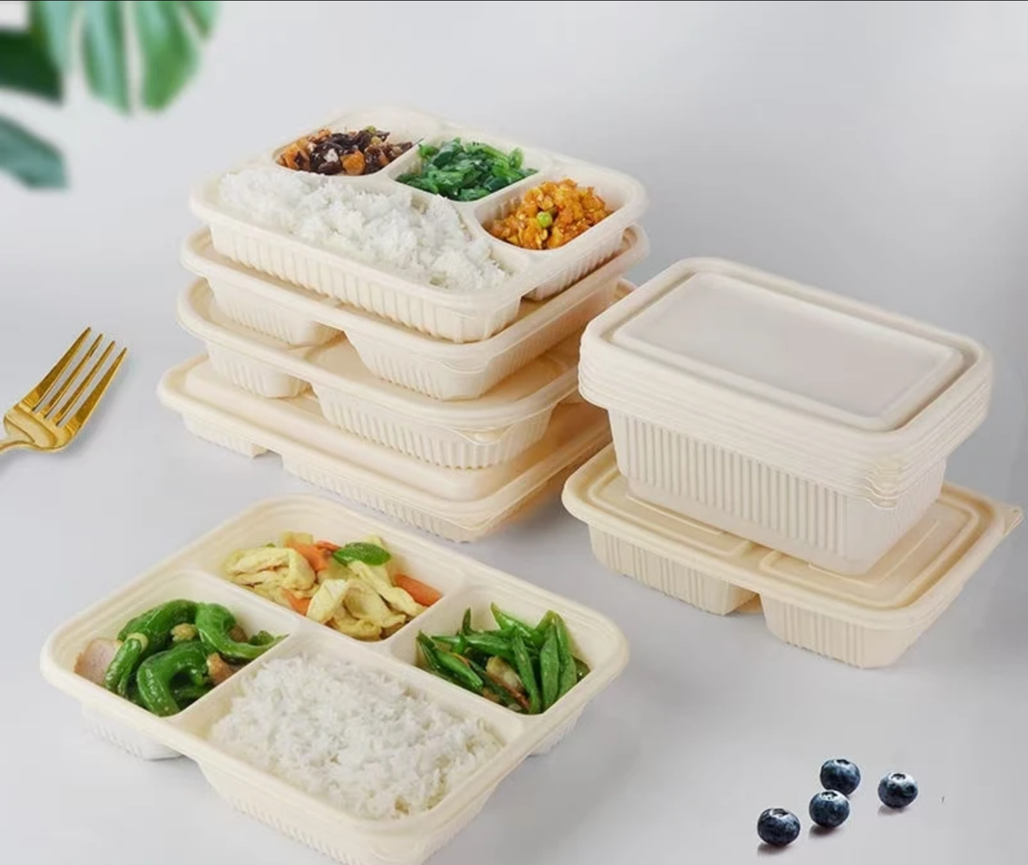 Custom Print Lunch Boxes