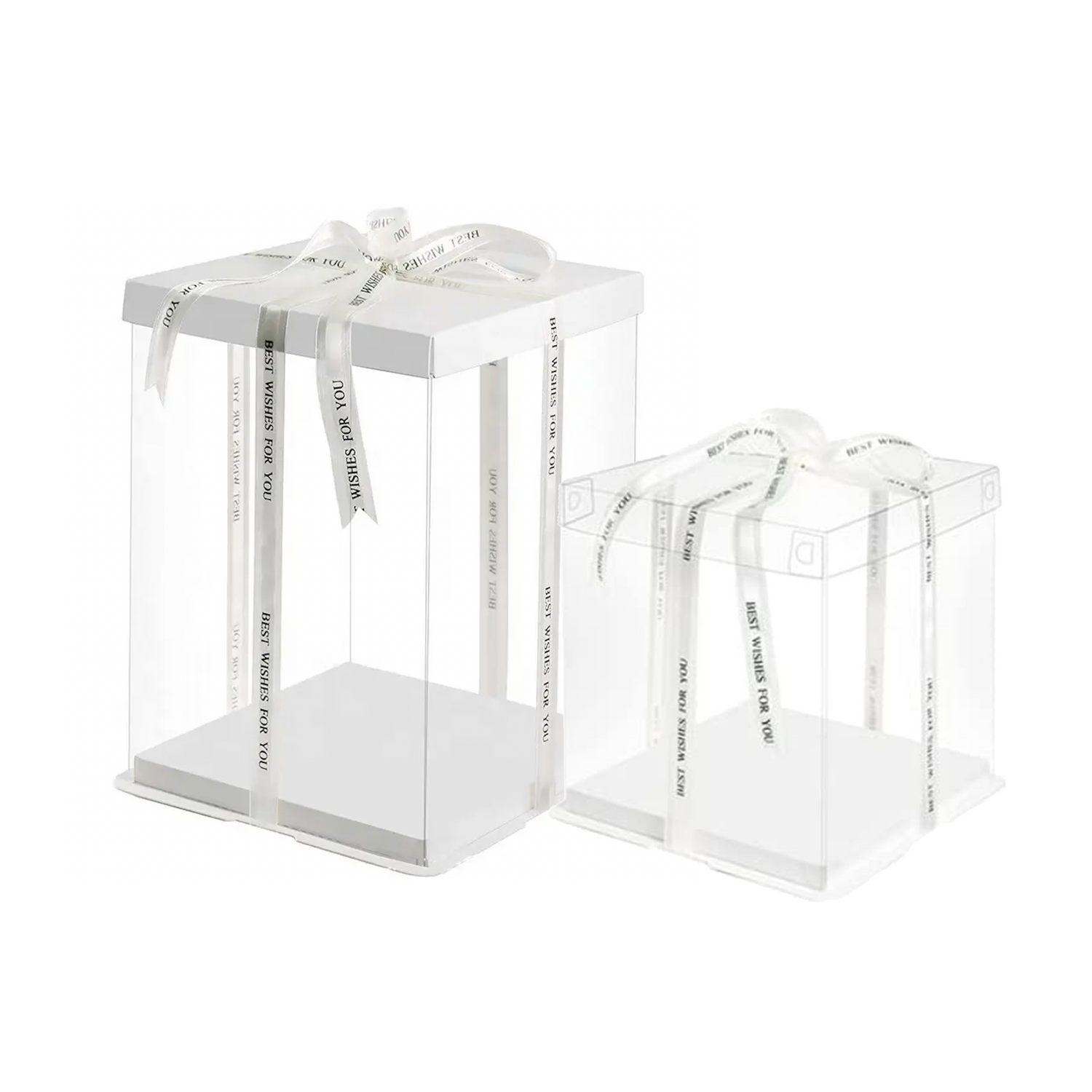 Clear Cake Box